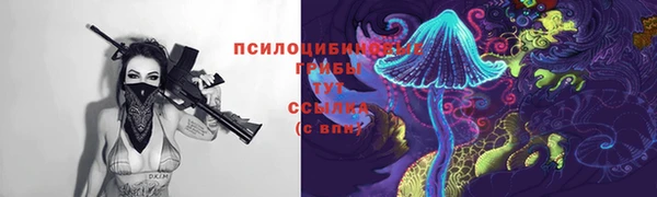 а пвп мука Баксан