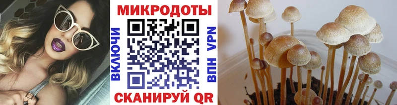 Псилоцибиновые грибы мицелий  сайты даркнета какой сайт  Строитель  купить  цена 
